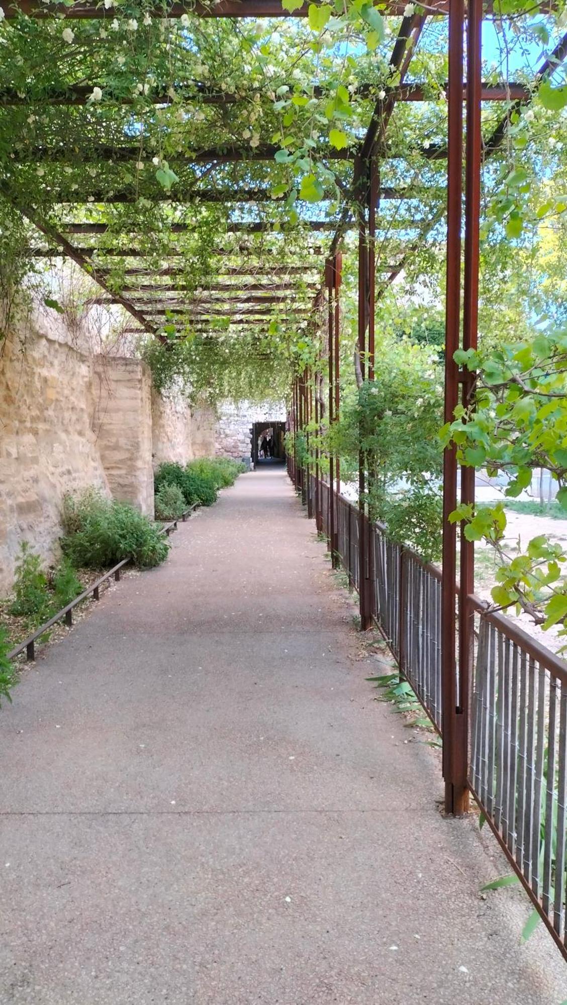 Studio Terrasse, Intra-Muros, Climatise Avec Wifi Avignone Esterno foto